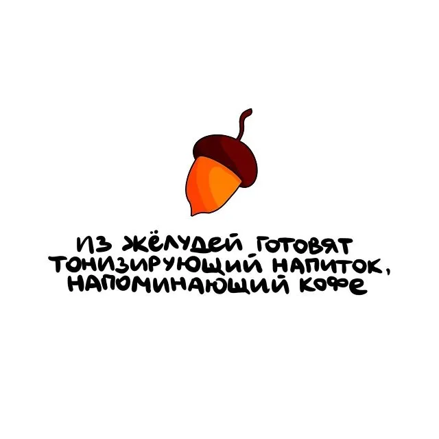 Интересные факты на все случаи жизни