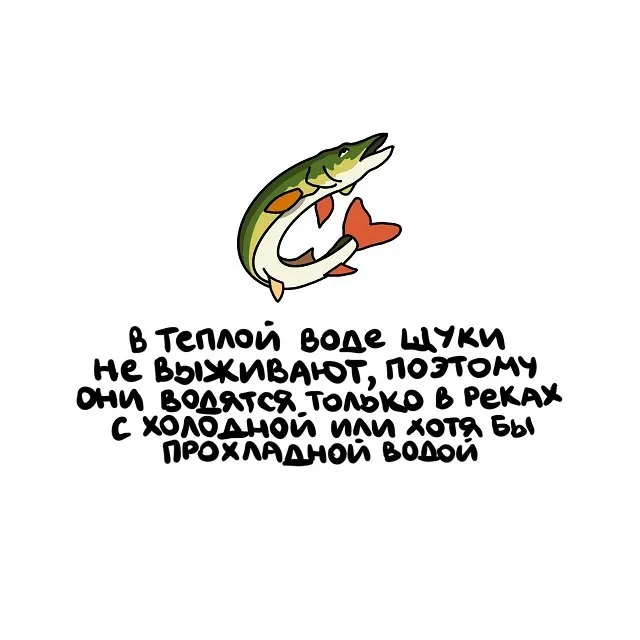 Интересные факты на все случаи жизни