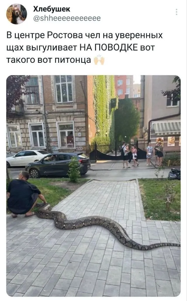 Подборка забавных твитов обо всем Подборка забавных твитов обо всем