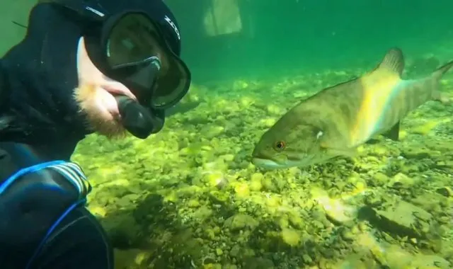 Скажи мне, кто твой друг, и я скажу, кто ты: мужчина подружился с окунем