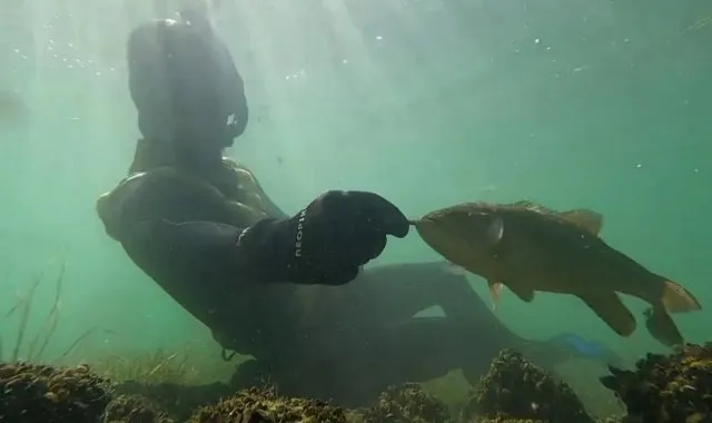 Скажи мне, кто твой друг, и я скажу, кто ты: мужчина подружился с окунем