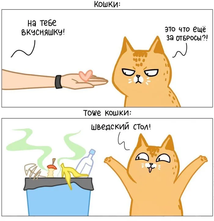 15 забавных комиксов от художницы, которая живёт в доме с четырьмя котами 15 забавных комиксов от художницы, которая живёт в доме с четырьмя котами