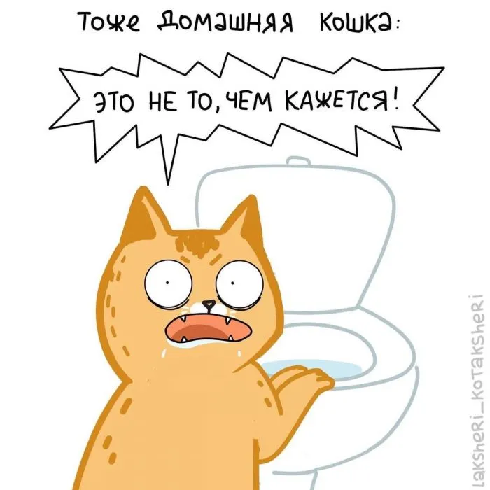 15 забавных комиксов от художницы, которая живёт в доме с четырьмя котами 15 забавных комиксов от художницы, которая живёт в доме с четырьмя котами