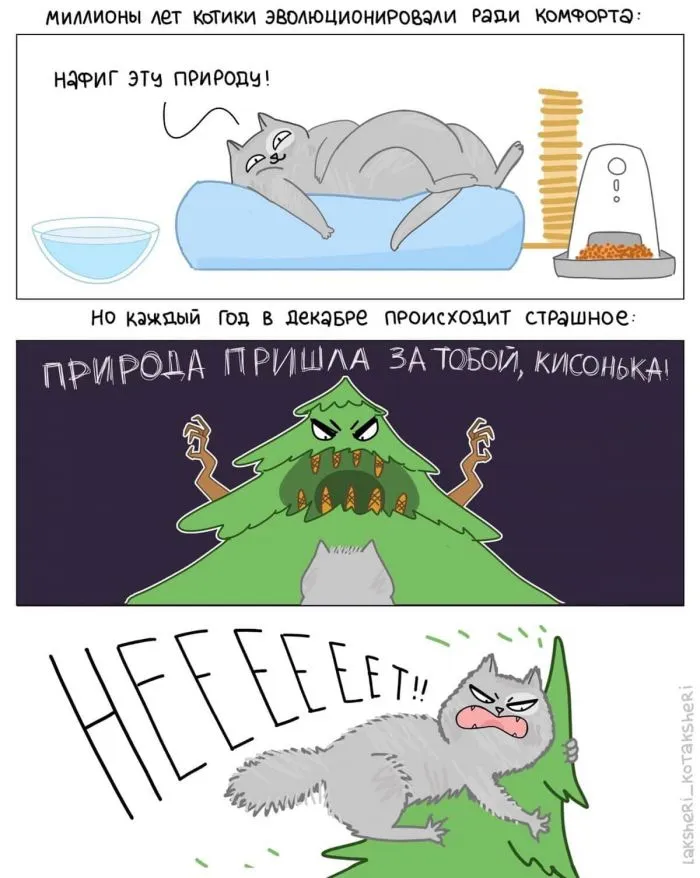 15 забавных комиксов от художницы, которая живёт в доме с четырьмя котами 15 забавных комиксов от художницы, которая живёт в доме с четырьмя котами