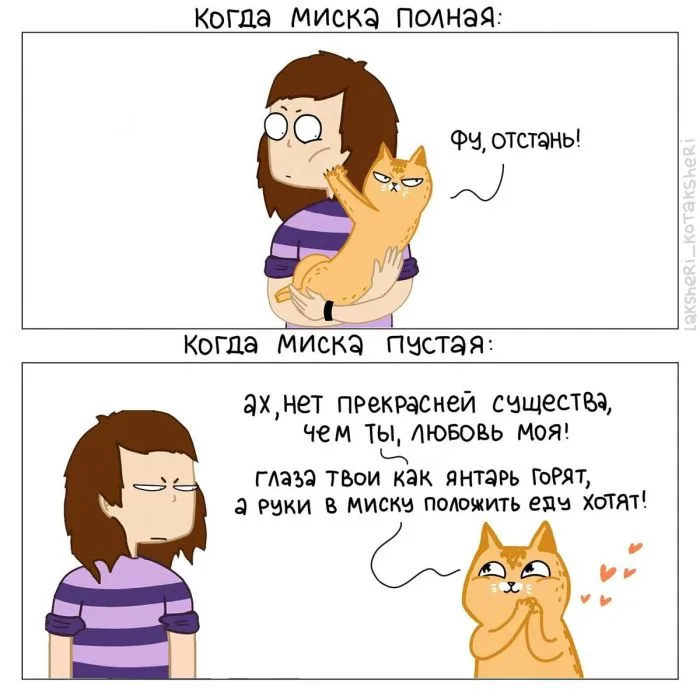 15 забавных комиксов от художницы, которая живёт в доме с четырьмя котами 15 забавных комиксов от художницы, которая живёт в доме с четырьмя котами