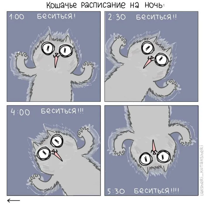 15 забавных комиксов от художницы, которая живёт в доме с четырьмя котами 15 забавных комиксов от художницы, которая живёт в доме с четырьмя котами