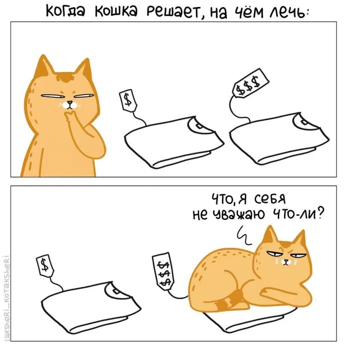 15 забавных комиксов от художницы, которая живёт в доме с четырьмя котами 15 забавных комиксов от художницы, которая живёт в доме с четырьмя котами