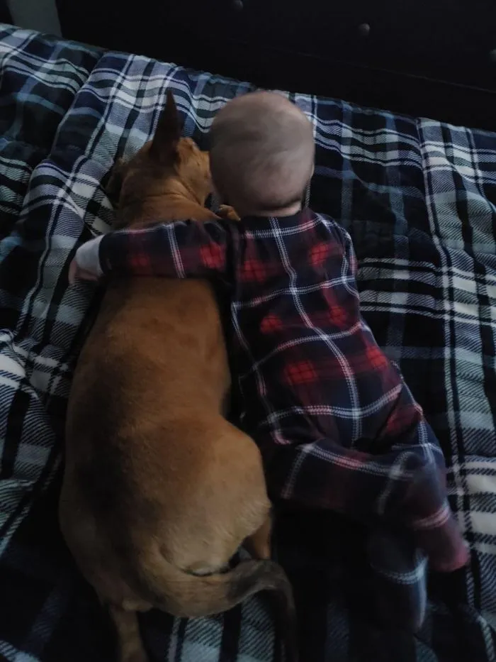 17 фотографий, доказывающих, что люди и животные друзья навек