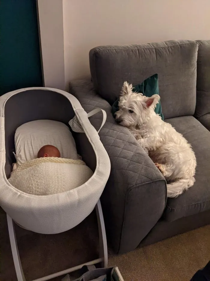 17 фотографий, доказывающих, что люди и животные друзья навек