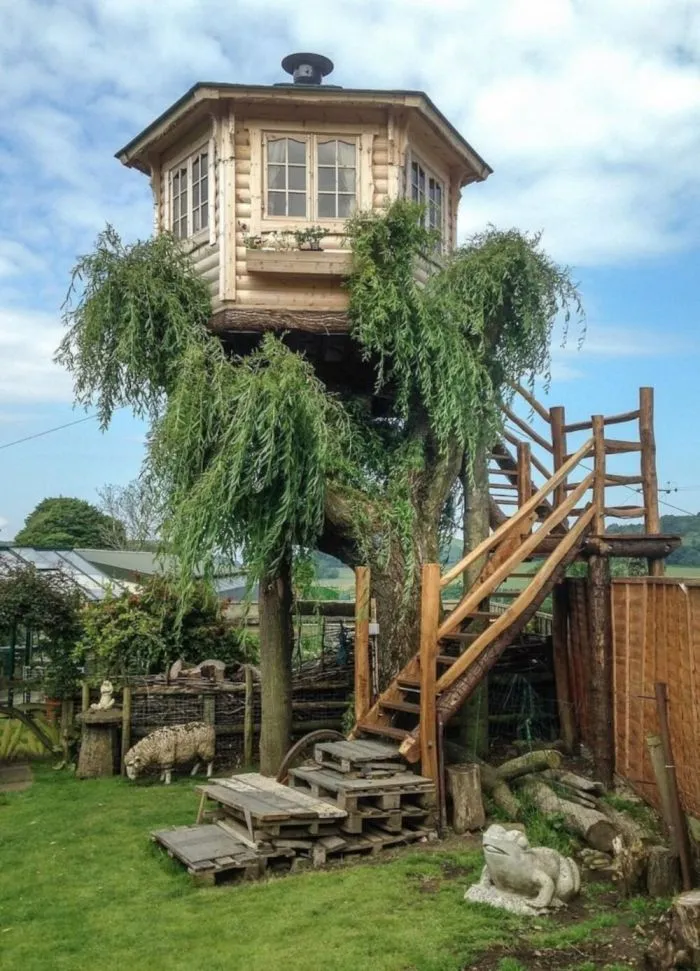 Дачный привет: забавные огородные идеи, которые можно заимствовать