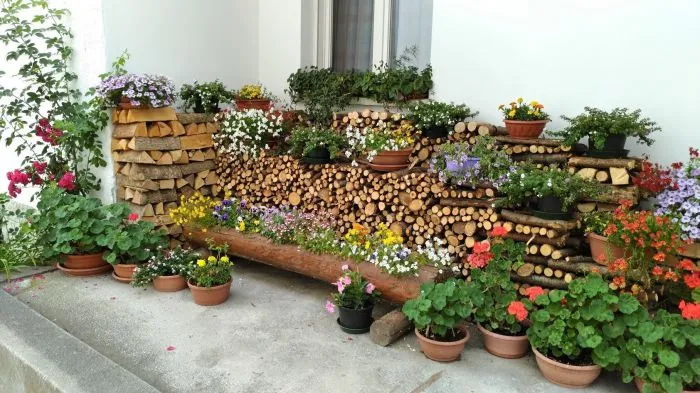 Дачный привет: забавные огородные идеи, которые можно заимствовать