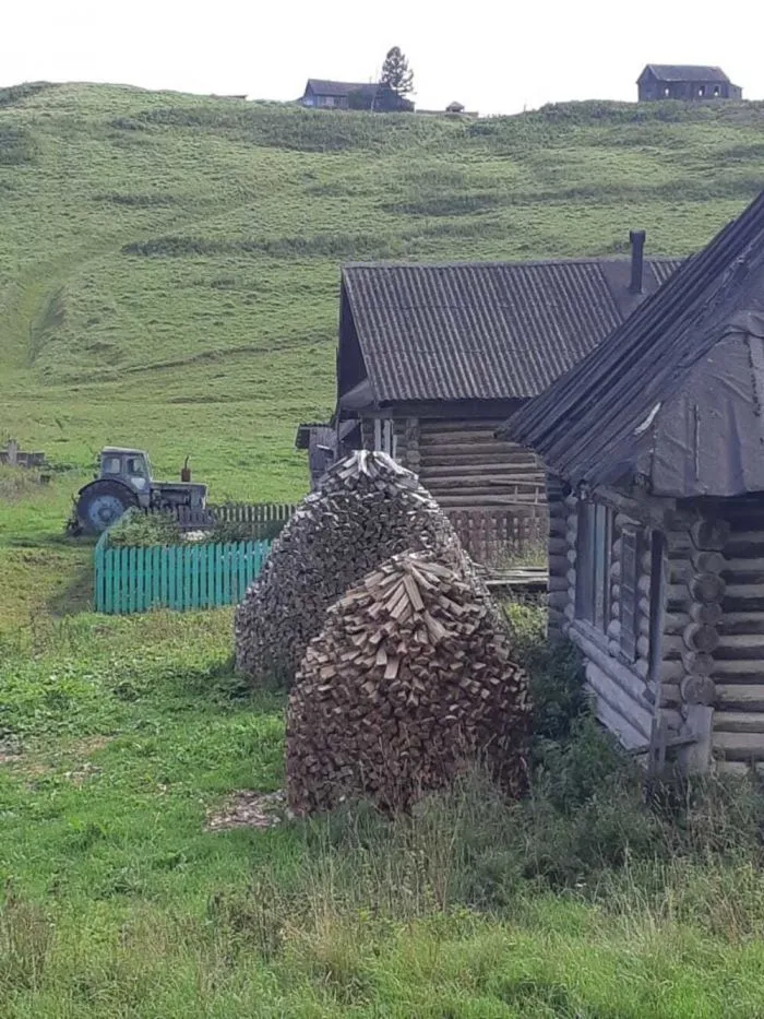 Дачный привет: забавные огородные идеи, которые можно заимствовать