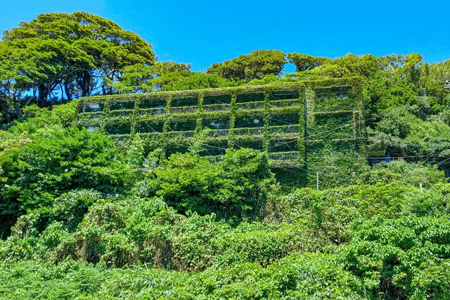 Заброшенные места, в которых ещё теплятся остатки цивилизации