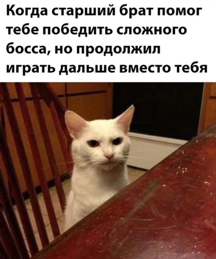 Пост, посвящённый старшим братьям и сёстрам Пост, посвящённый старшим братьям и сёстрам