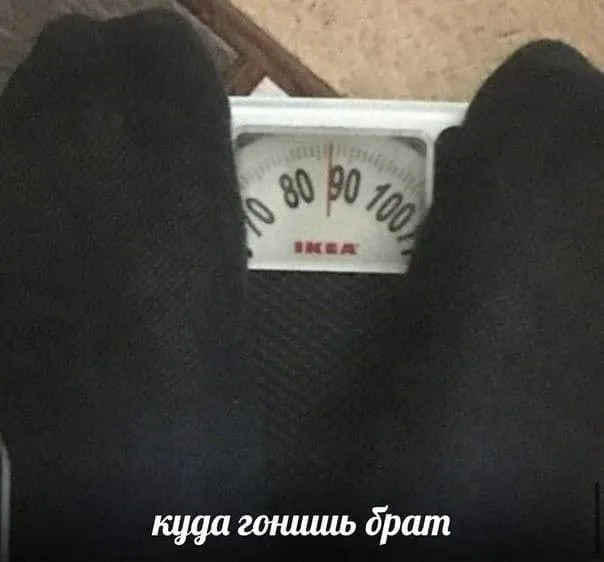 Фотоприколы и прикольные картинки Фотоприколы и прикольные картинки