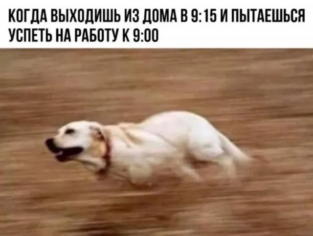 Фотоприколы и прикольные картинки Фотоприколы и прикольные картинки
