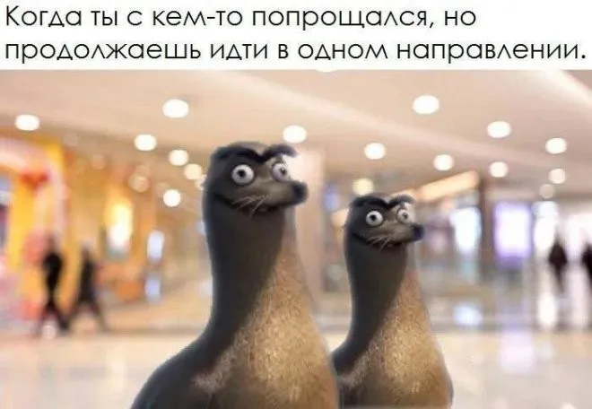 Фотоприколы и прикольные картинки Фотоприколы и прикольные картинки