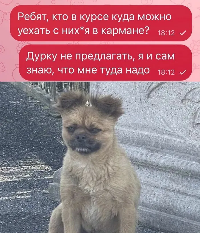 Фотоприколы и прикольные картинки (15/09/2023)