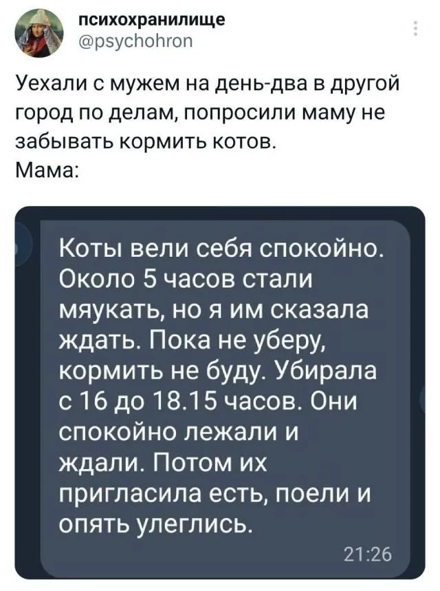 Фотоприколы и прикольные картинки (15/09/2023)