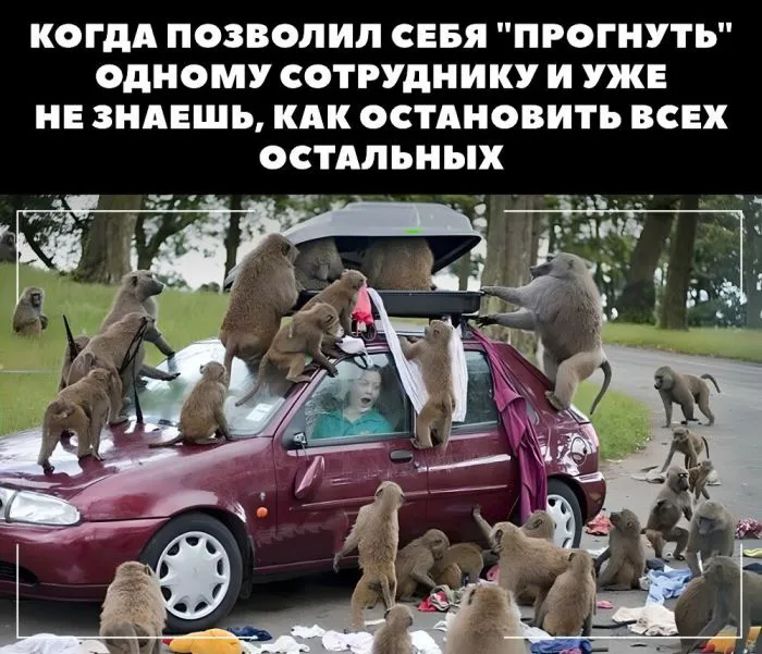 Подборка ситуаций, которые могли произойти только с офисным планктоном Подборка ситуаций, которые могли произойти только с офисным планктоном