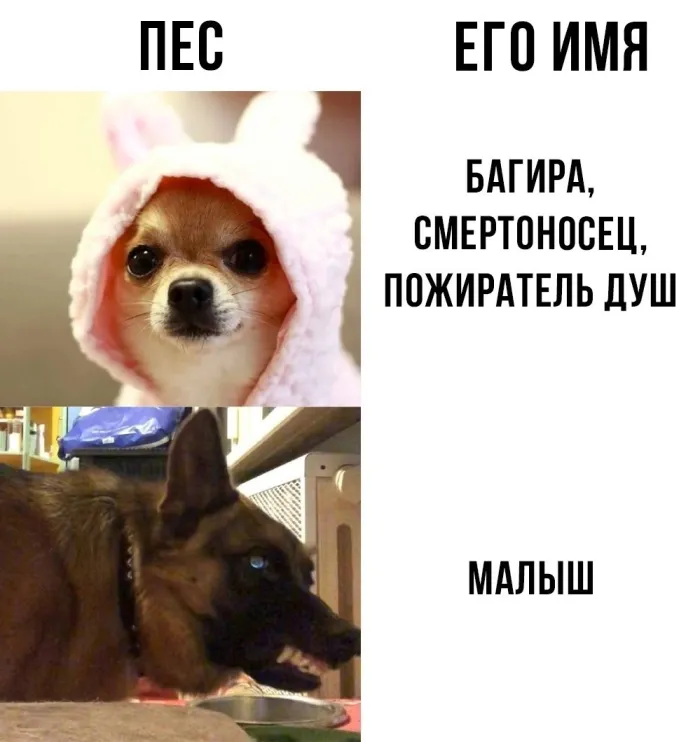 Нестандартный юмор :)