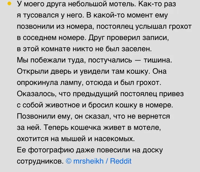 Работники отелей поделились историями с чудинкой