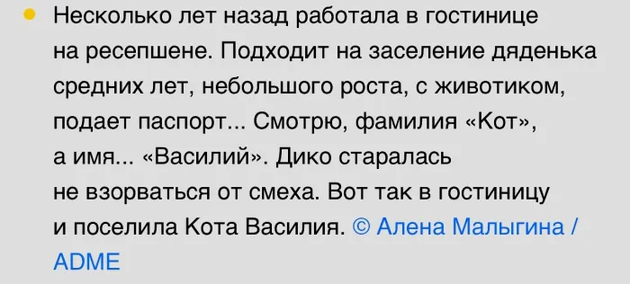 Работники отелей поделились историями с чудинкой
