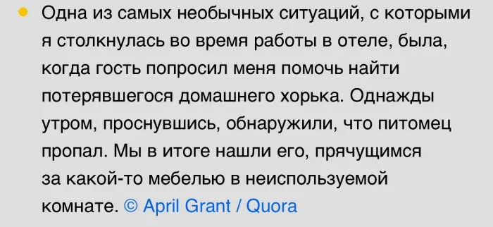 Работники отелей поделились историями с чудинкой