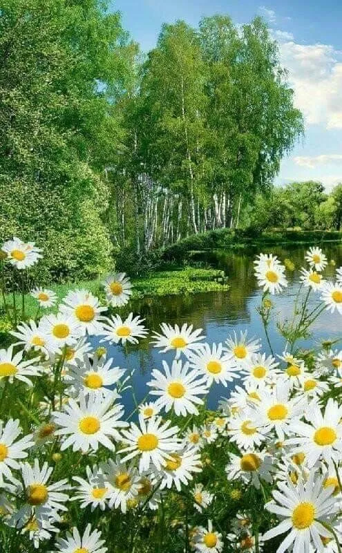 Просто красивые картинки
