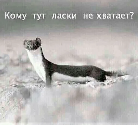 Так себе картинки Так себе картинки