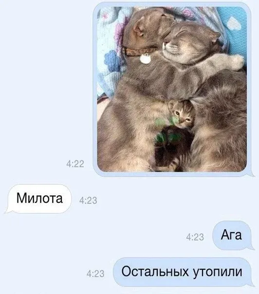 Так себе картинки Так себе картинки
