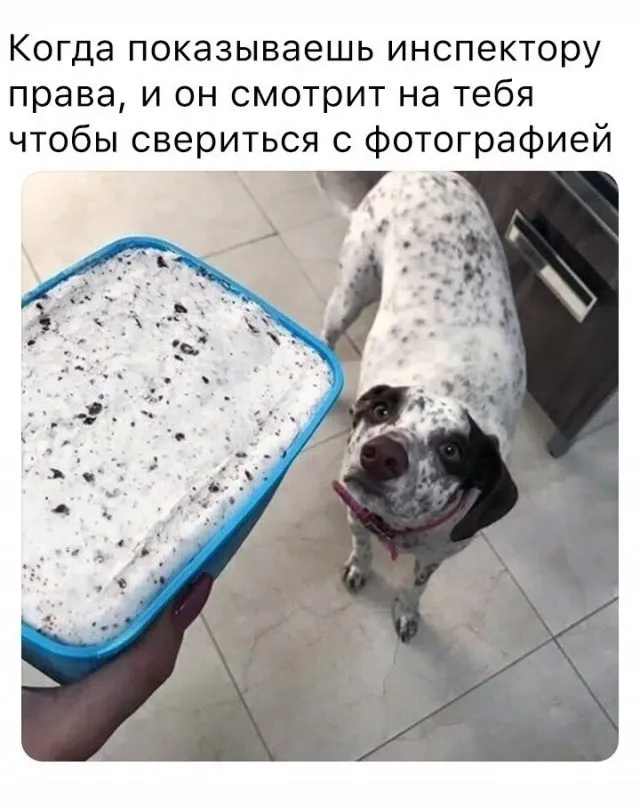 Так себе картинки Так себе картинки