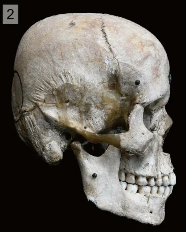 Странные черепа людей с острова Танэгасима