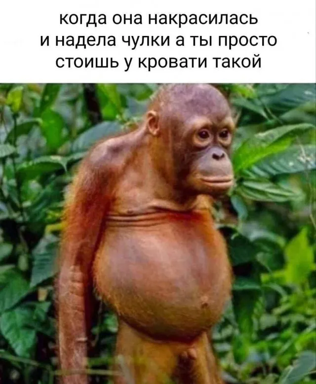 Картинки