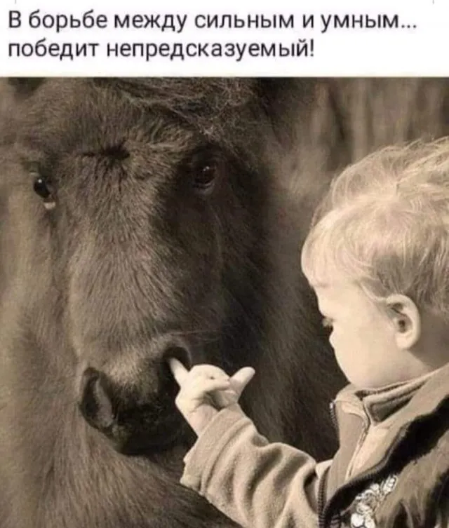 Стыренные картинки