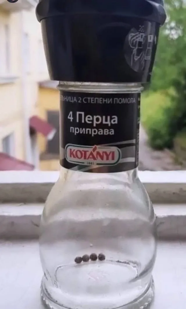 Картинки (09/09/2023)