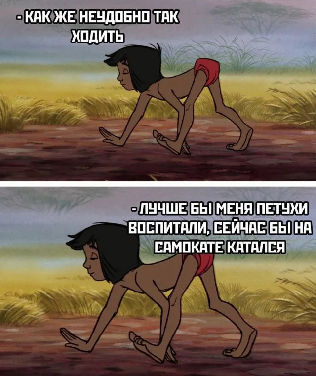 Картинки (09/09/2023)