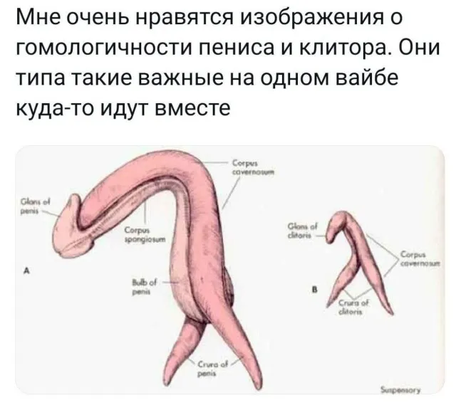 Так себе картинки (08/09/2023)