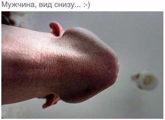 Так себе картинки (08/09/2023)