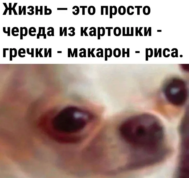 Так себе картинки (08/09/2023)