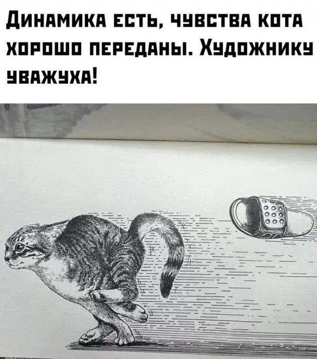 Так себе картинки (08/09/2023)