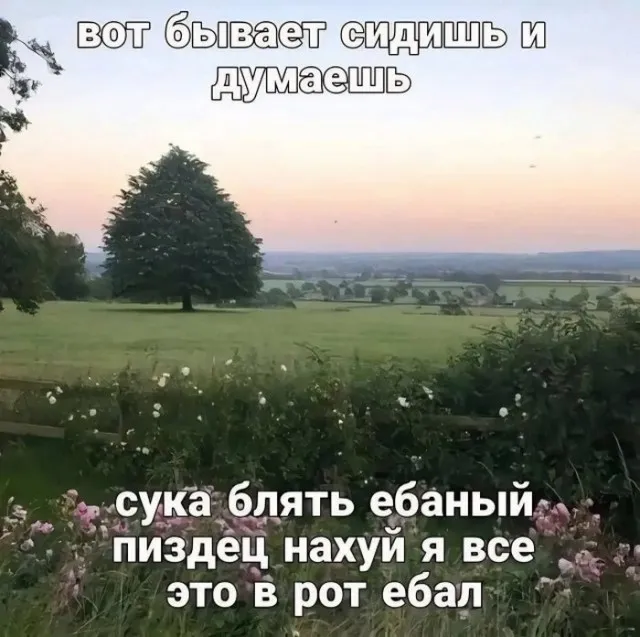 Так себе картинки (08/09/2023)