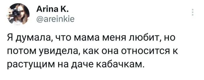 Кабачков много не бывает, их бывает слишком много