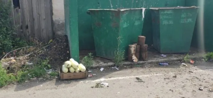 Кабачков много не бывает, их бывает слишком много