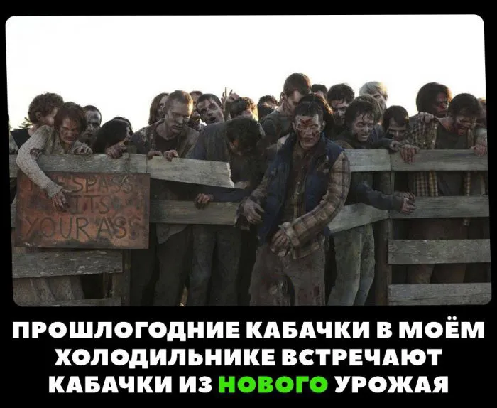 Кабачков много не бывает, их бывает слишком много