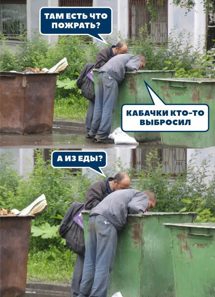 Кабачков много не бывает, их бывает слишком много