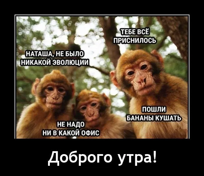 Демотиваторы