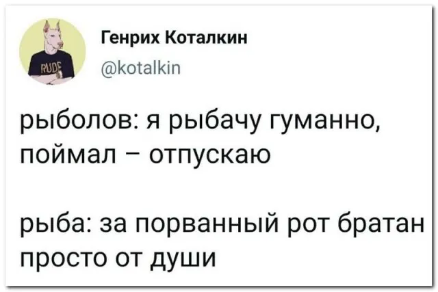 Забавные комментарии из социальных сетей