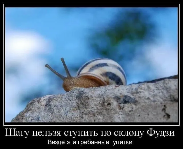 Так себе картинки (06/09/2023)