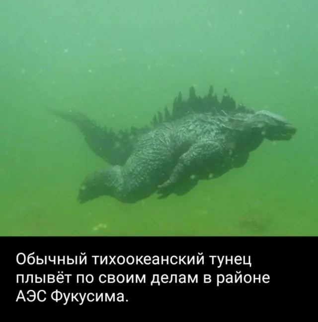 Картинки (06/09/2023)